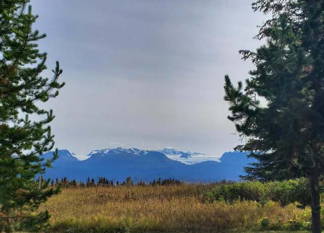 Property at 00 Basargin Rd, Homer, AK 99603
