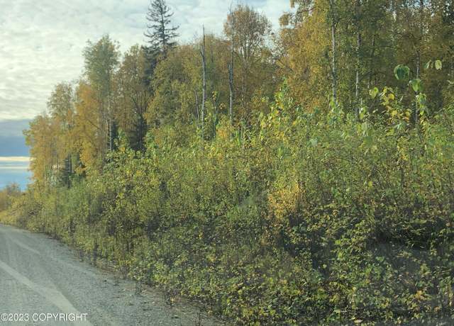 Property at 21312 W Bow Tie Loop, Willow, AK 99688