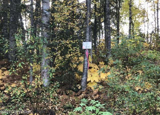 Property at B4L11 Compass Cir, Willow, AK 99688