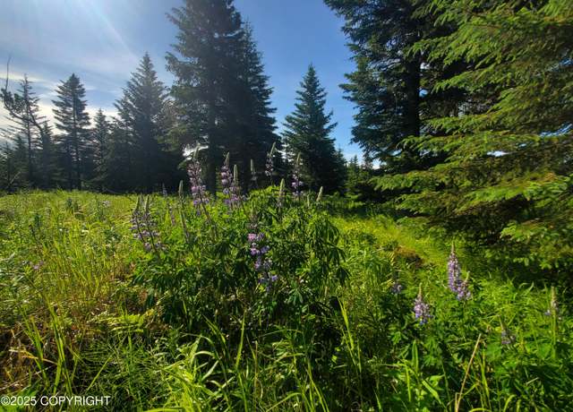 Property at 17528 Chefornak St, Ninilchik, AK 99639