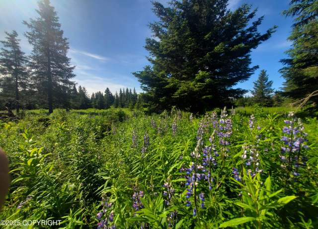 Property at 17502 Chefornak St, Ninilchik, AK 99639