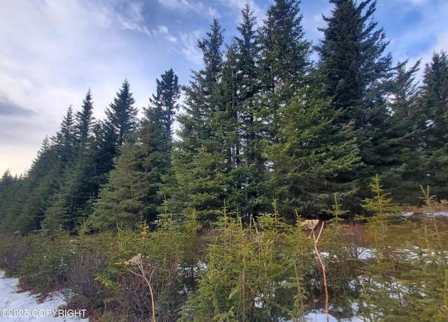 Property at 17491 Kimeluk St, Ninilchik, AK 99639