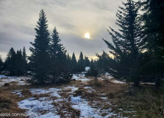 Property at 67609 Shavila Rd, Ninilchik, AK 99639