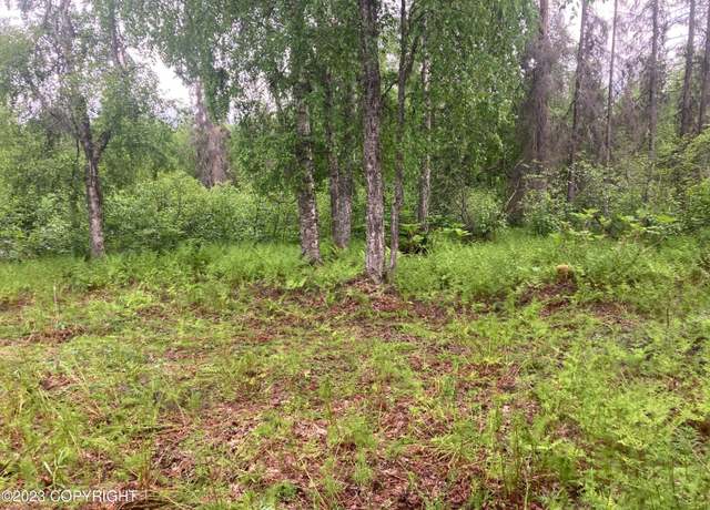 Property at L5 B2 E Big Mountain Rd, Talkeetna, AK 99676