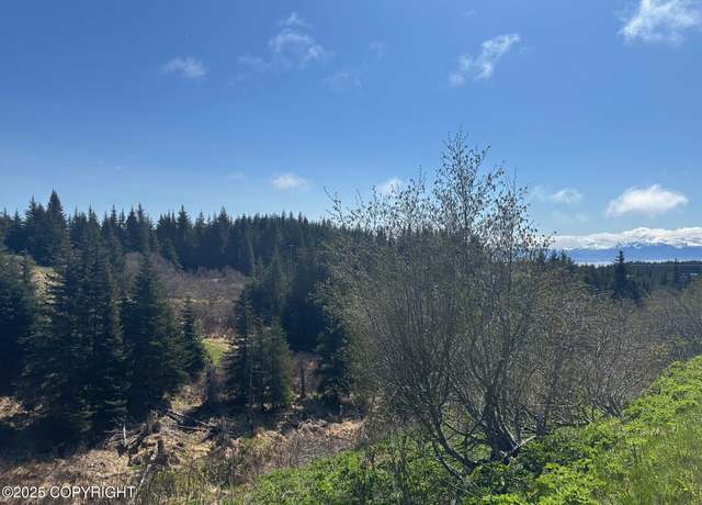 Property at 64370 Diamond Ridge Rd, Homer, AK 99603