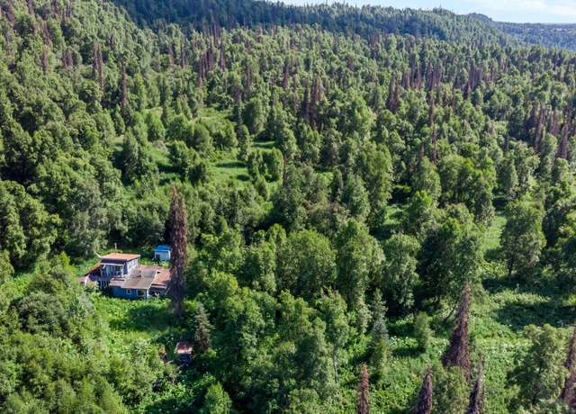 Property at 2187 N Parks Hwy, Trapper Creek, AK 99683