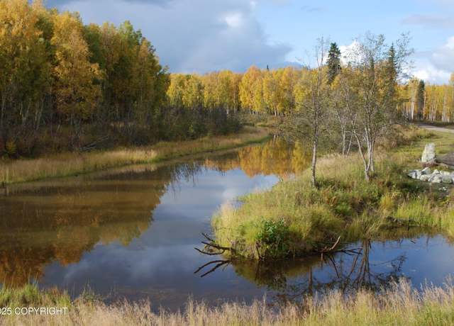 Property at 49628 S Hunter Dr, Willow, AK 99688