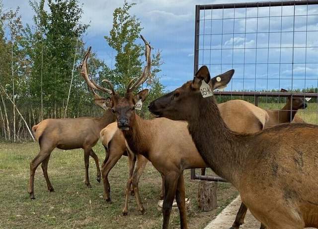 Property at 1403 Alaska Hwy, Delta Junction, AK 99737, 2 beds, 1 bath
