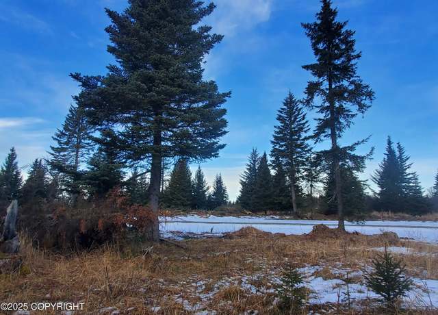 Property at 17584 Chefornak St, Ninilchik, AK 99639
