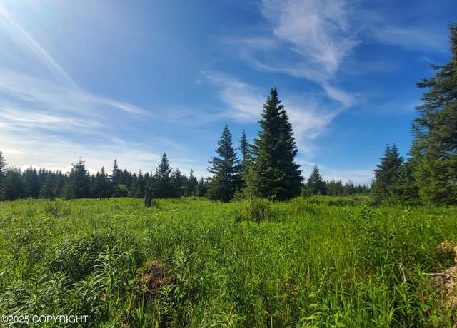 Property at 17584 Chefornak St, Ninilchik, AK 99639