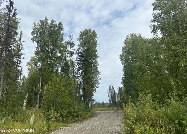 Property at 49365 S Noahs Cir, Willow, AK 99688