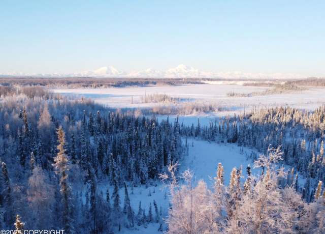 Property at 49365 S Noahs Cir, Willow, AK 99688