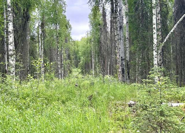Property at 16082 E Greenleaf Dr, Talkeetna, AK 99676
