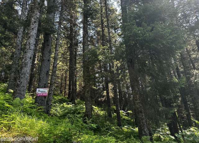 Property at L15 B11 Malcolm St, Seldovia, AK 99663