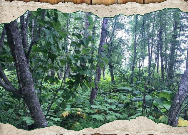 Property at L15 B2 Holley Beck St, Nikiski/north Kenai, AK 99635