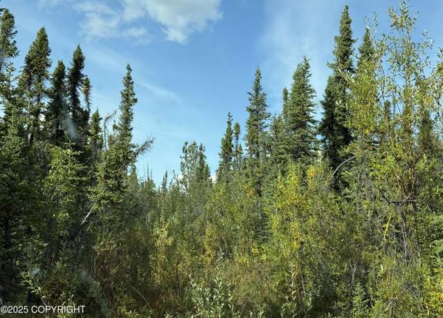 Property at Mile 188.2 Glenn Hwy, Glennallen, AK 99588