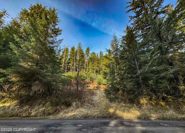 Property at L7B13 USFS 30 Rd, Whale Pass, AK 99927