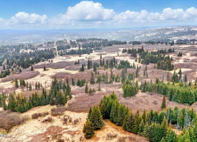 Property at 65079 & L5 Clyde Thomas Ave, Anchor Point, AK 99556