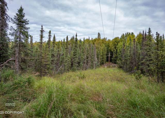 Property at L5 B2 Big Lake Ests, Big Lake, AK 99654