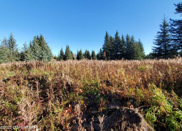 Property at 67618 Shavila Rd, Ninilchik, AK 99639