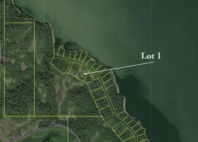 Property at Lot 1 Frederick Point East, Petersburg, AK 99833