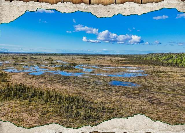 Property at B1 TR A Kasilof Wilderness Sub, Kasilof, AK 99610
