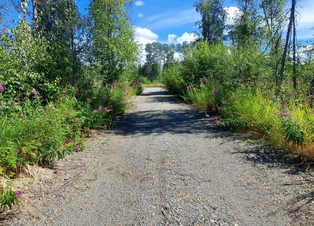 Property at 31327 S Salmon Ally St, Talkeetna, AK 99676
