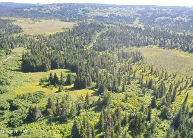 Property at 63687 Inez Ave, Anchor Point, AK 99556