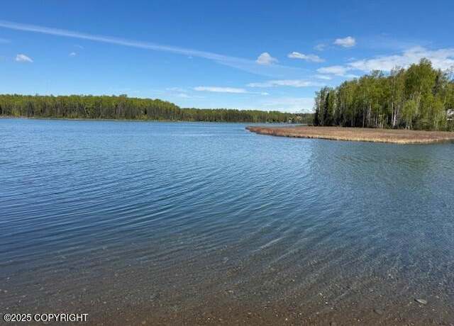 Property at 16525 E Nichols Dr, Talkeetna, AK 99676