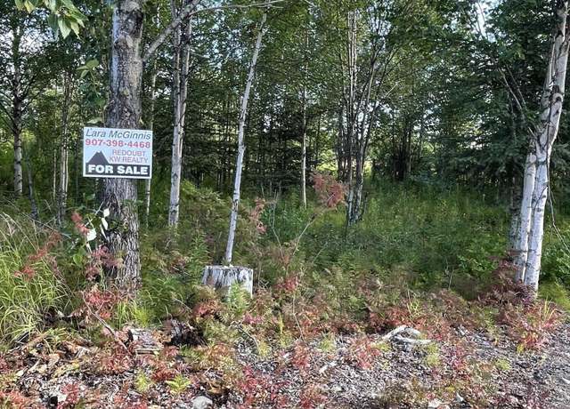 Property at 25850 Stinkbug St, Ninilchik, AK 99556