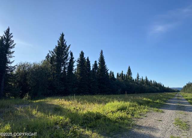 Property at Mi 270 Richardson Hwy, Delta Junction, AK 99737