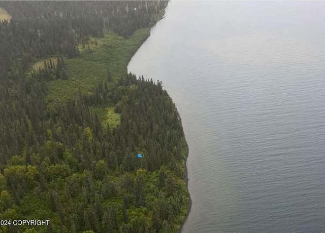 Property at Tract 10 ASLS 2016-9, Dillingham, AK 99576