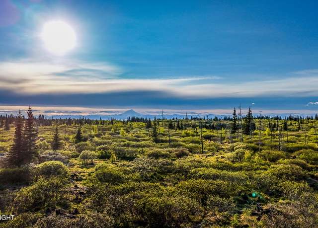 Property at 54151 Straight In Trl, Ninilchik, AK 99639