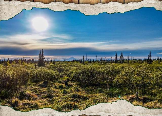 Property at 54151 Straight In Trl, Ninilchik, AK 99639