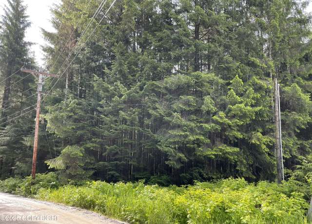 Property at L5B4 Hucklebery Dr, Naukati Bay, AK 99000