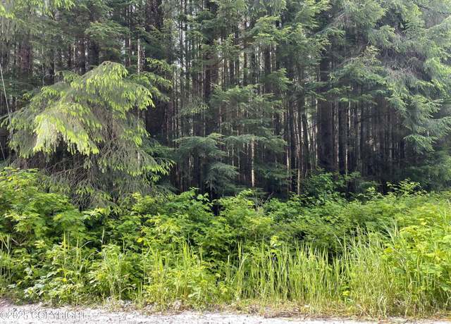 Property at L5B4 Hucklebery Dr, Naukati Bay, AK 99000