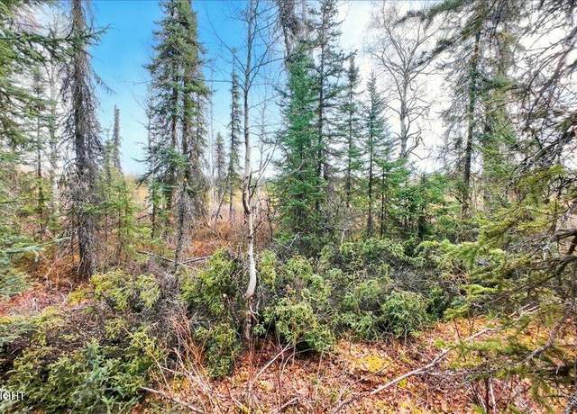 Property at 66359 S Parks Hwy, Willow, AK 99688