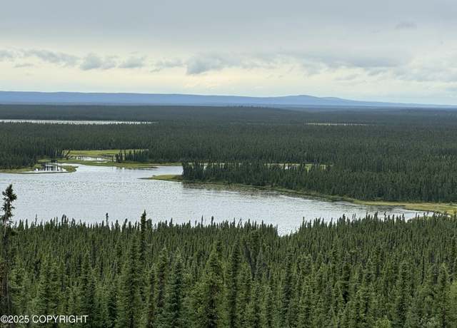 Property at L7 Lou Anne Ln, Gakona, AK 99586