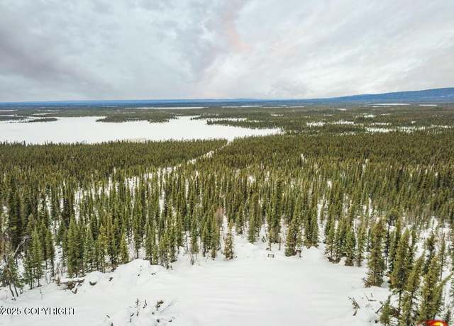 Property at L8 Lou Anne Ln, Gakona, AK 99586