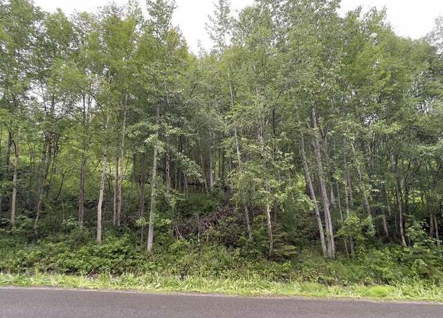 Property at L 12 White Spruce Dr, Eagle River, AK 99577