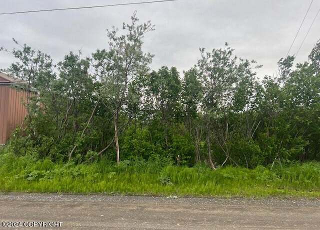 Property at NHN C St, Dillingham, AK 99576