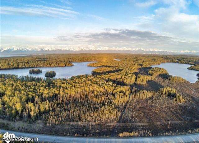 Property at 23165 S Twin Island Dr, Wasilla, AK 99654