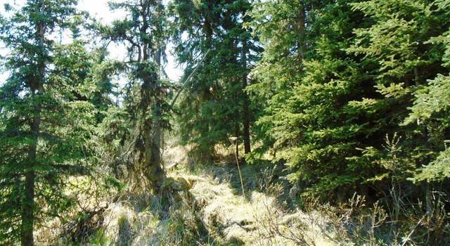 Photo of L3 West River Dr, Eagle River, AK 99577