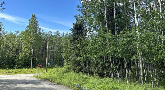 Photo of L2 Wrangle Ave, Sterling, AK 99672