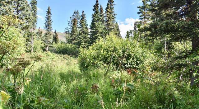 Photo of L4 B6V Rabbit Creek Vw, Anchorage, AK 99516