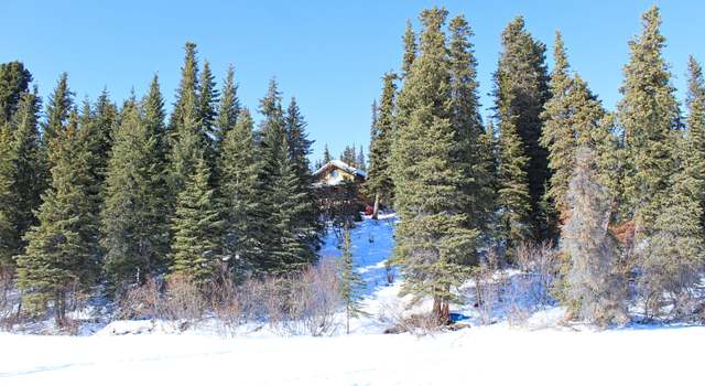 Photo of L25 No Road Lake Louise, Glennallen, AK 99588
