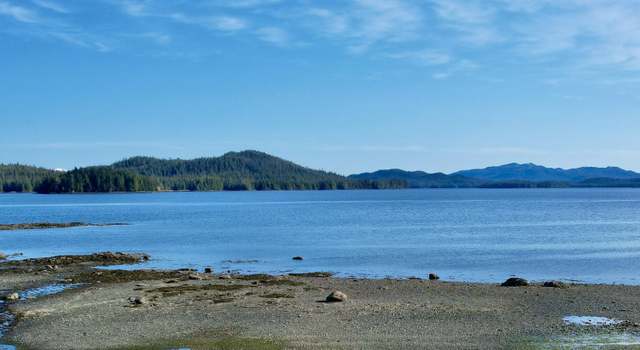 Photo of L2B10 Whales Pass, Whale Pass, AK 99000