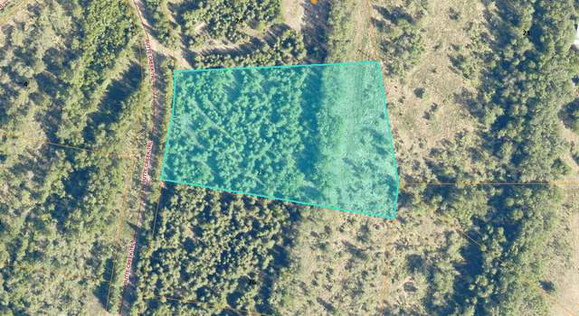 Photo of L25 Big Salchaket Trl, Salcha, AK 99714