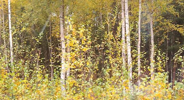 Photo of 2740 N Gunflint Trl, Wasilla, AK 99623