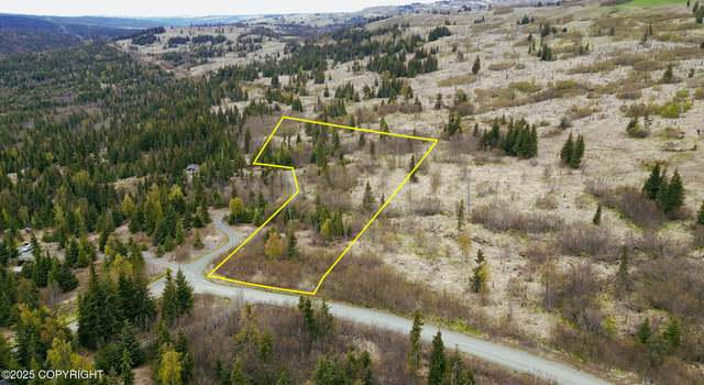 Photo of 56000 W Benjamin Ave, Homer, AK 99603